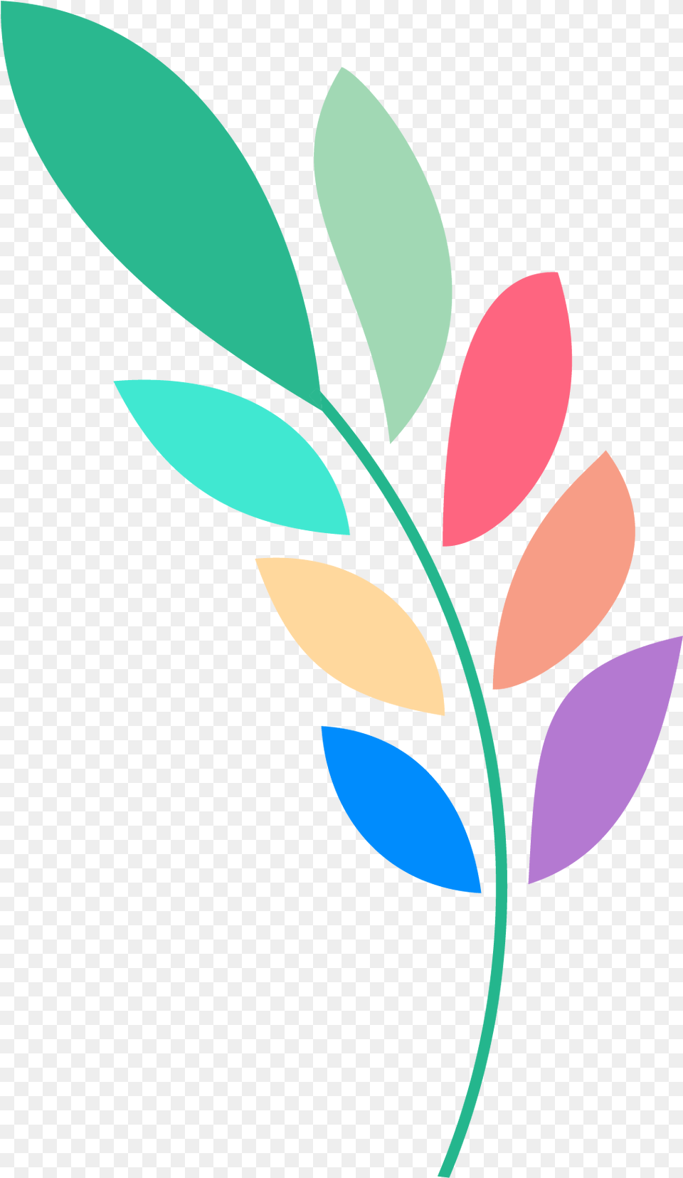 Avatar Color Olive Branch Clipart, Art, Floral Design, Graphics, Pattern Free Transparent Png