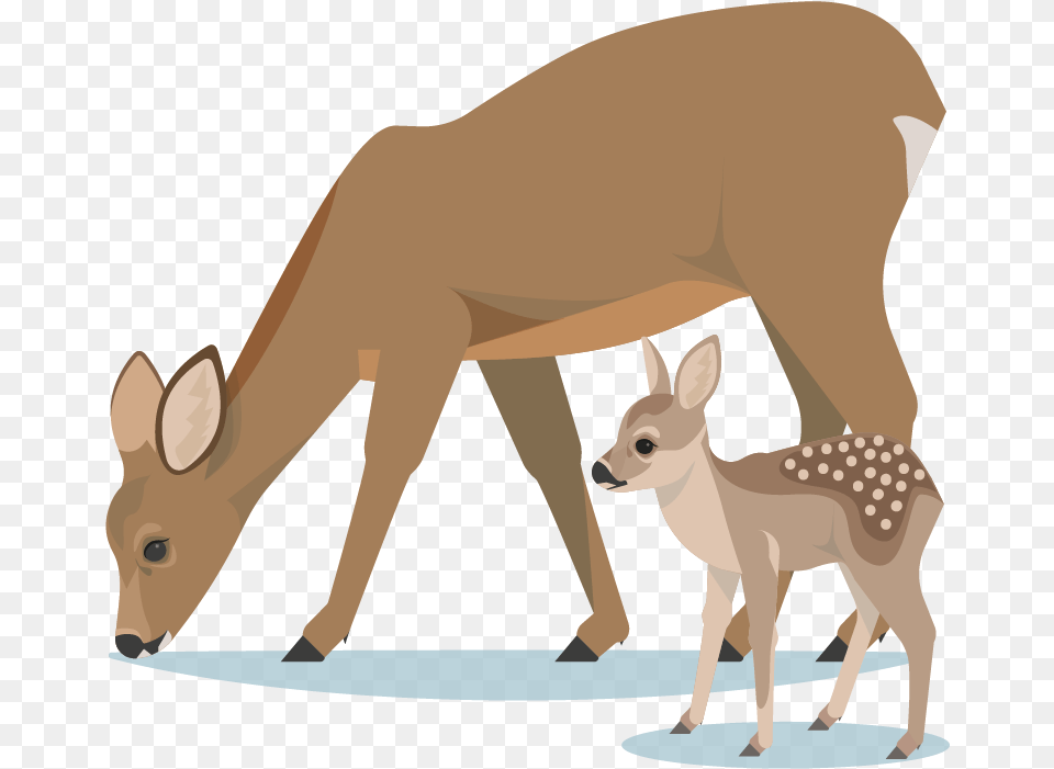 Avatar Deer Family Cartoon, Animal, Mammal, Wildlife, Kangaroo Free Png Download