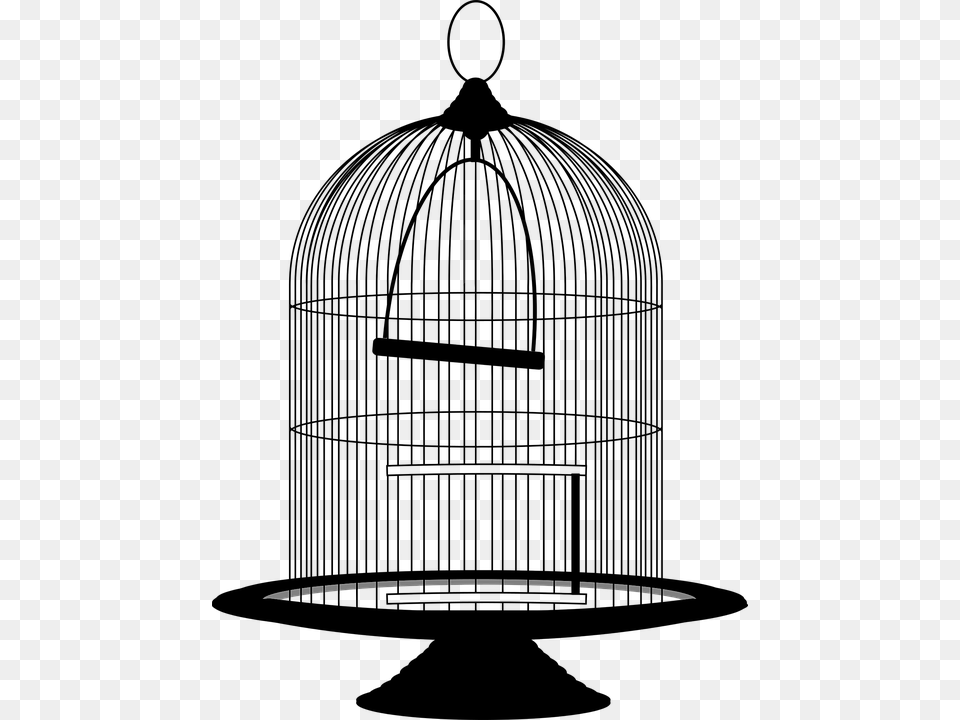 Ave Jaula Victoriana Vinta Bird Cage Clipart Black And White, Outdoors, Nature, Night Png