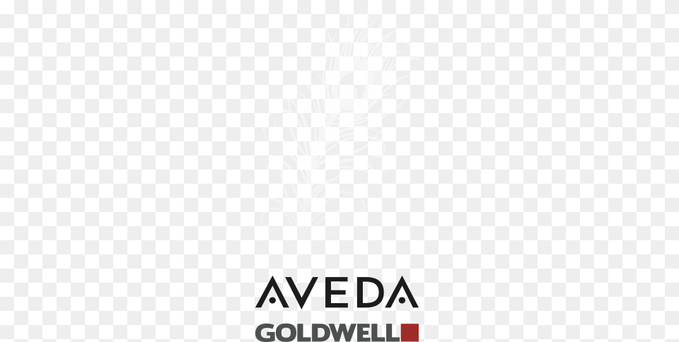 Aveda Goldwell Goldwell Silk Lift Intensive Conditioning Serum, Art, Graphics, Person, Floral Design Free Png