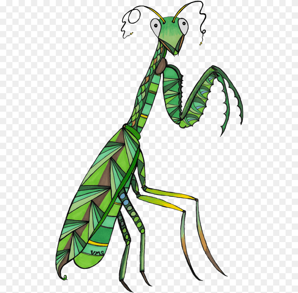 Avel The Patient Praying Mantis Ant, Animal, Insect, Invertebrate, Adult Png Image