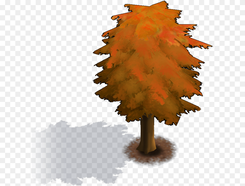 Avengers Academy Wikia White Pine, Leaf, Maple, Plant, Tree Png