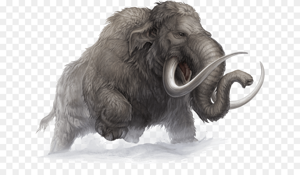 Aventuria Bestiary By Pechschwinge Mammoth, Animal, Bear, Mammal, Wildlife Png Image