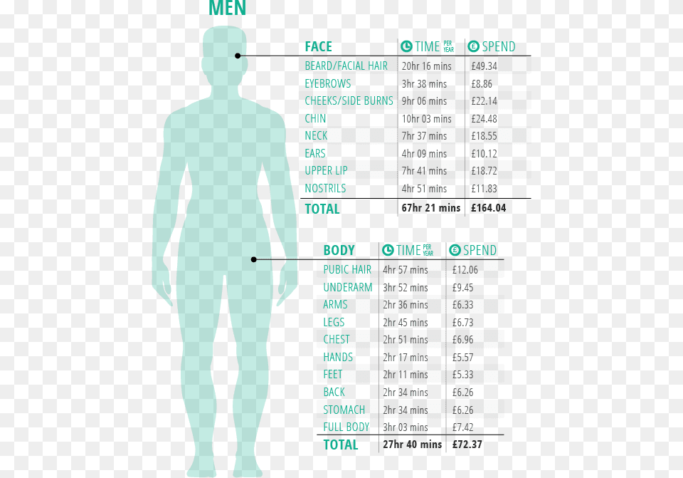 Average Body Hair On Men, Chart, Plot, Adult, Male Png