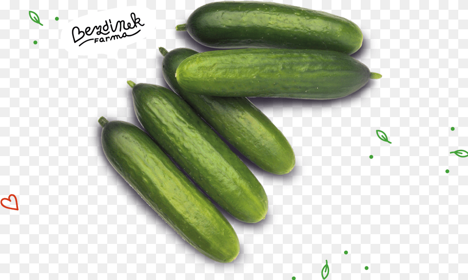 Average Lenght Cucumber, Food, Plant, Produce, Vegetable Free Png Download
