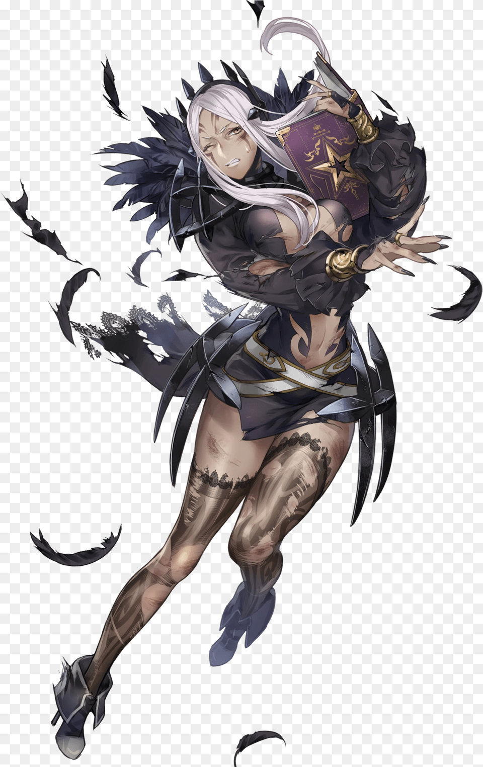 Aversa Fire Emblem, Publication, Book, Comics, Adult Png