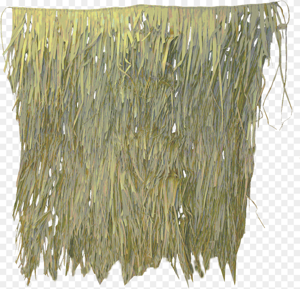 Avery Real Grass Thread, Plant, Food, Noodle Png Image