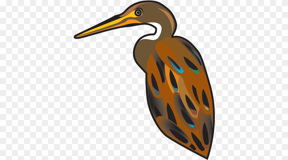 Avian Water Bird, Animal, Beak, Waterfowl, Crane Bird Free Transparent Png