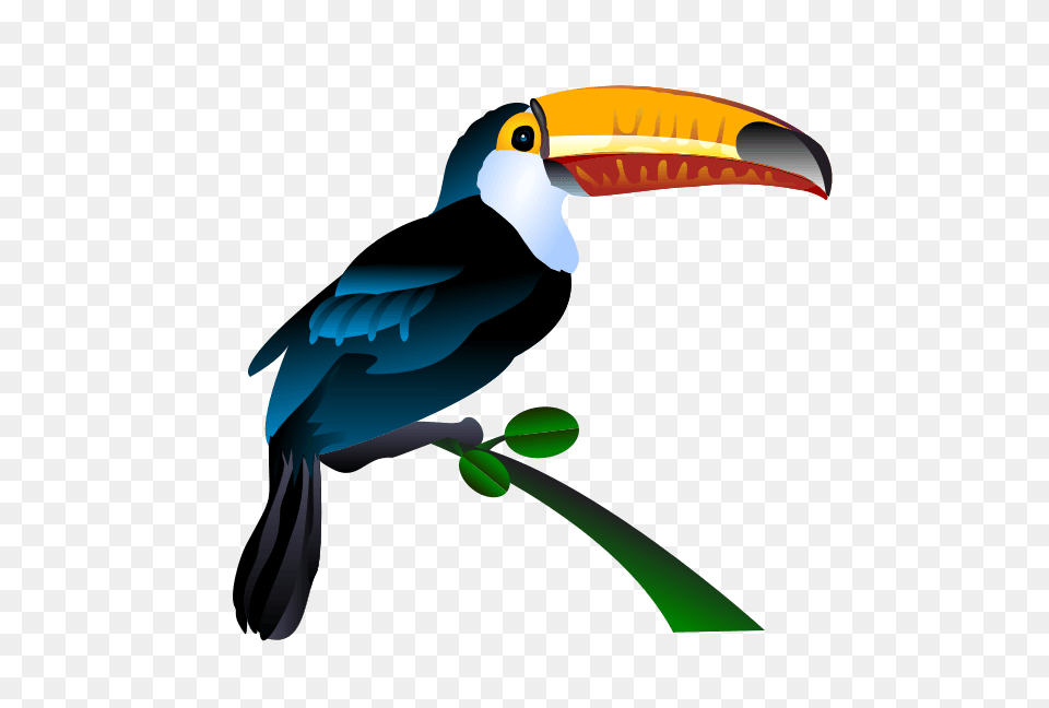 Aviary Birds Cliparts, Animal, Beak, Bird, Toucan Png