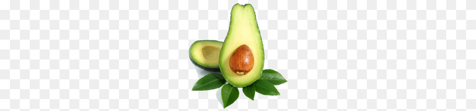 Avocado, Food, Fruit, Plant, Produce Free Png