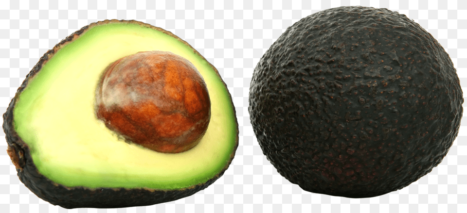 Avocado, Food, Fruit, Plant, Produce Free Png