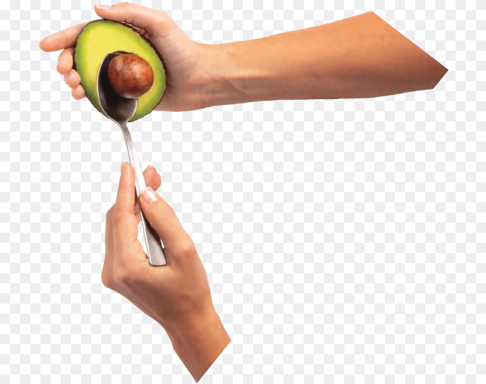 Avocado, Produce, Plant, Fruit, Food Png Image