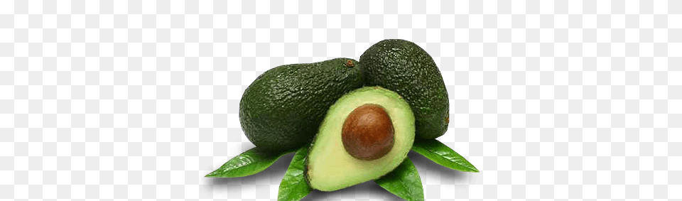 Avocado, Ball, Food, Fruit, Plant Png