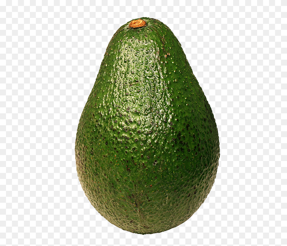 Avocado, Food, Fruit, Plant, Produce Png