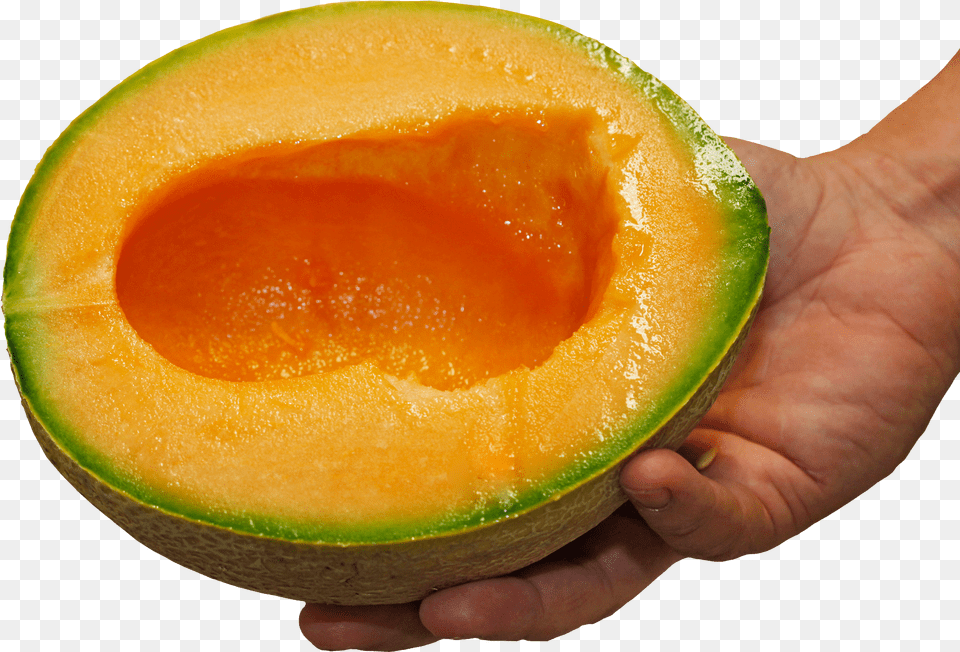 Avocado, Food, Fruit, Plant, Produce Png Image