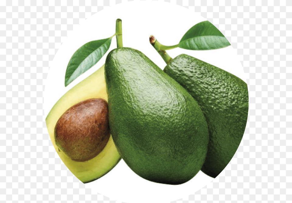 Avocado, Food, Fruit, Plant, Produce Free Png