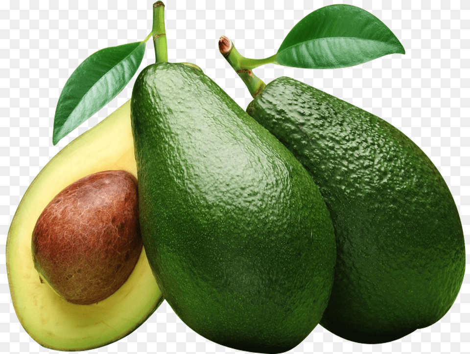 Avocado, Food, Fruit, Plant, Produce Free Png