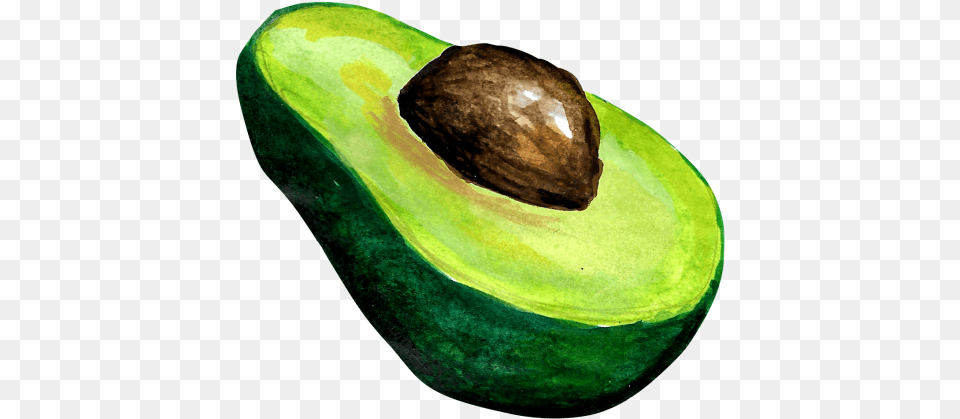 Avocado, Food, Fruit, Plant, Produce Free Png Download