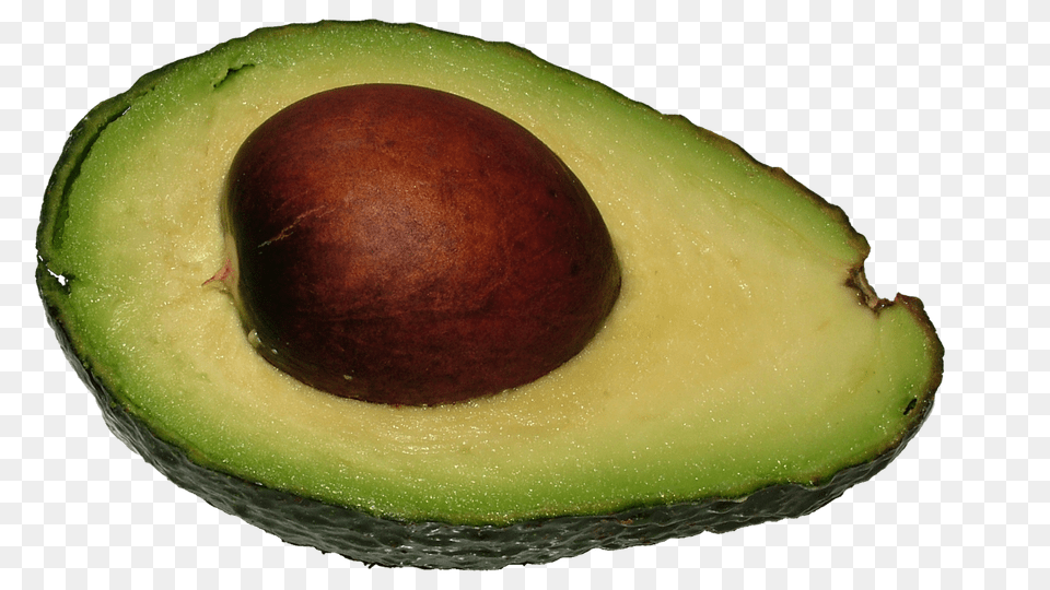 Avocado, Food, Fruit, Plant, Produce Free Transparent Png