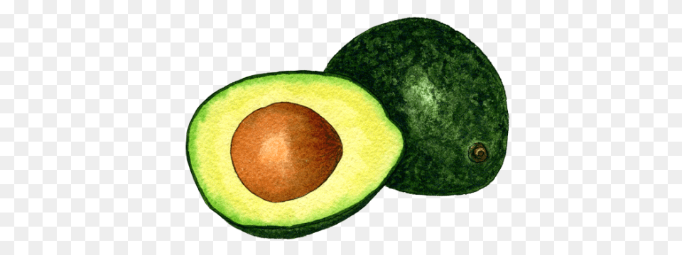 Avocado, Food, Fruit, Plant, Produce Free Png Download