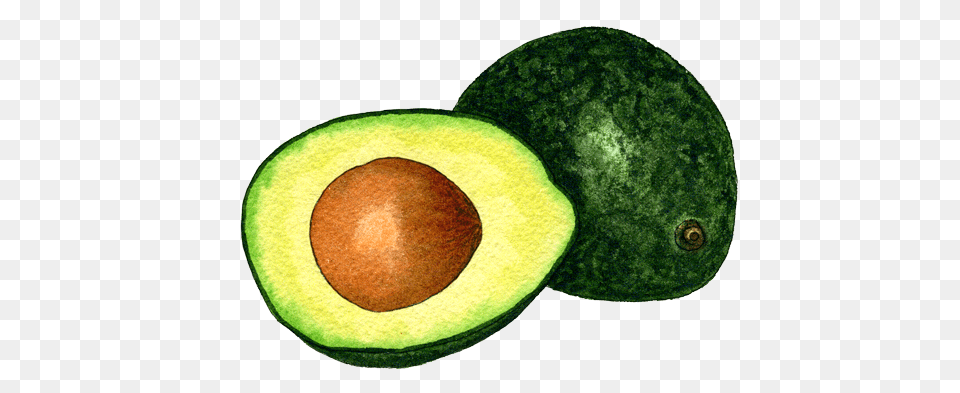 Avocado, Food, Fruit, Plant, Produce Free Transparent Png