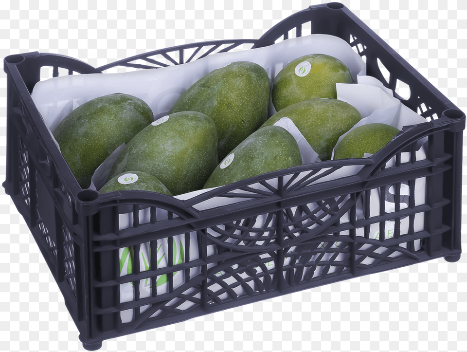 Avocado, Food, Fruit, Plant, Produce Free Transparent Png