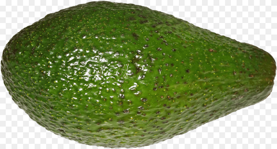 Avocado Avocado Png Image