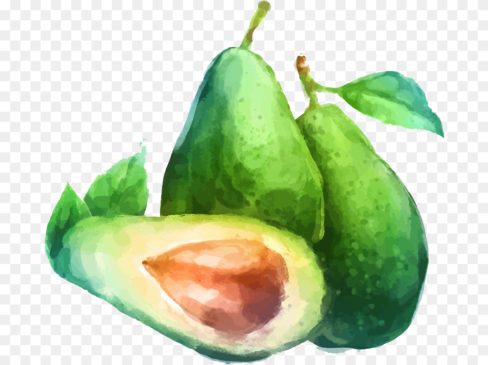 Avocado Clipart Draw Water Color Fruit Drawing, Food, Plant, Produce, Pear Png Image