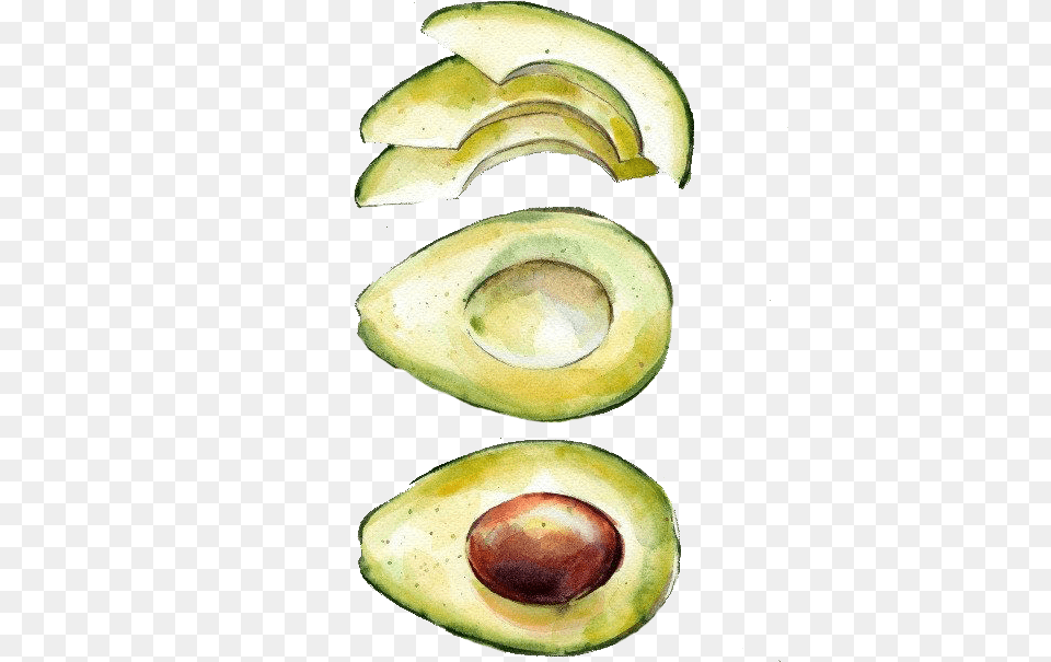 Avocado Clipart Draw Watercolor Avocado Transparent Avocado Watercolor, Banana, Food, Fruit, Plant Png Image