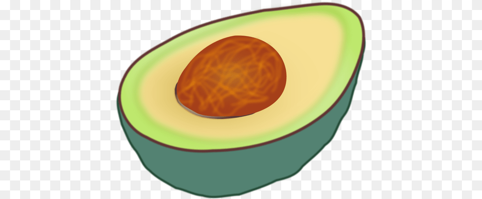 Avocado Cut In Half Vector Clip Art, Food, Fruit, Plant, Produce Free Png Download