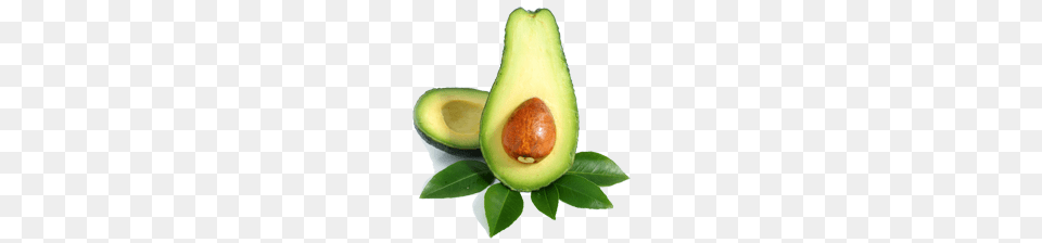 Avocado Food, Fruit, Plant, Produce Free Png Download