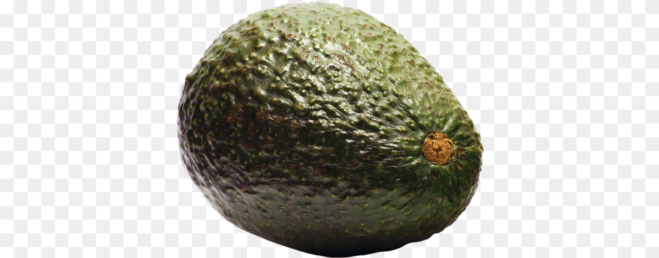 Avocado Download Avocado, Food, Fruit, Plant, Produce Free Transparent Png