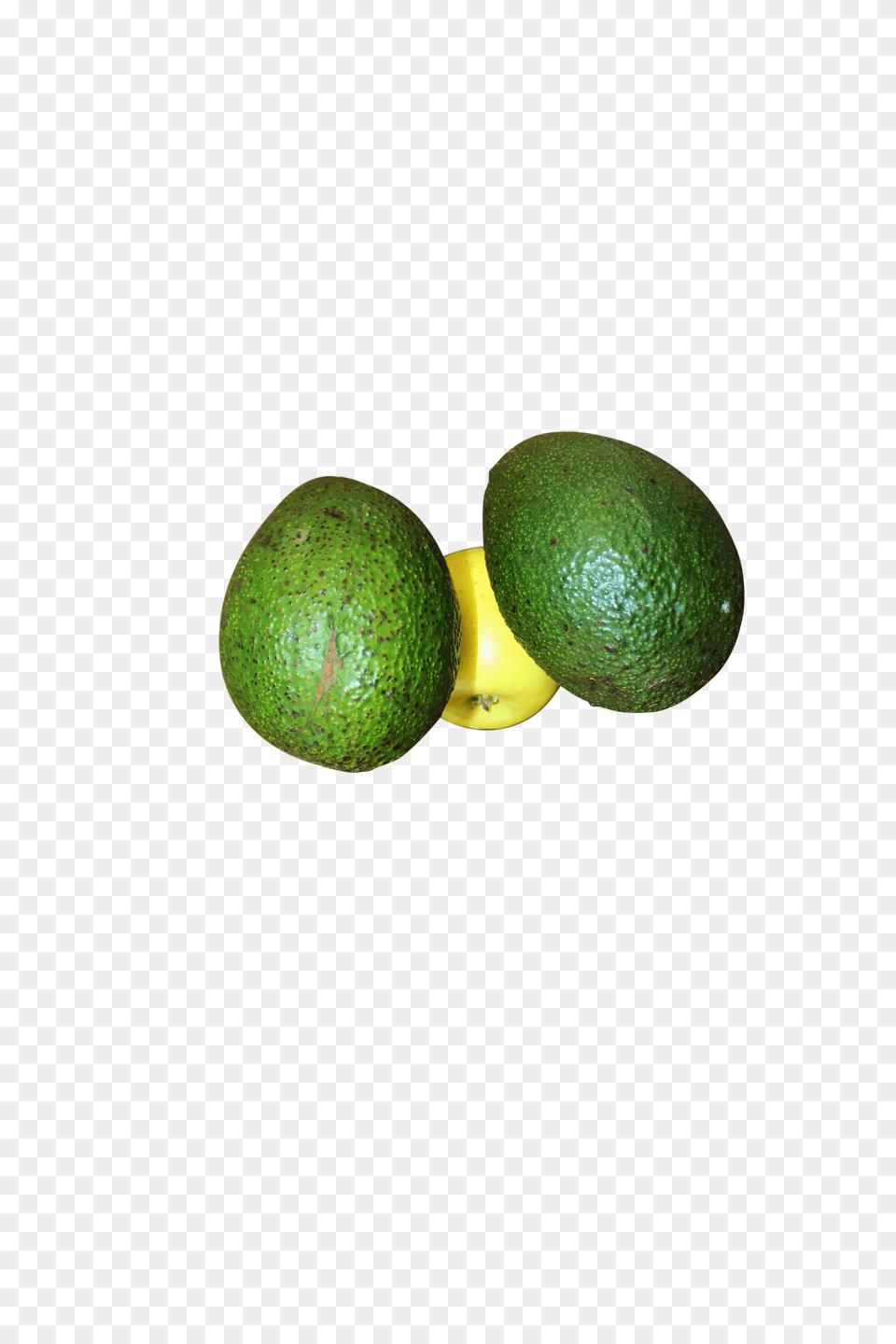 Avocado Image Persian Lime, Food, Fruit, Plant, Produce Free Png Download