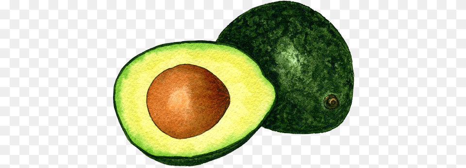 Avocado In High Resolution Avocado, Food, Fruit, Plant, Produce Png Image