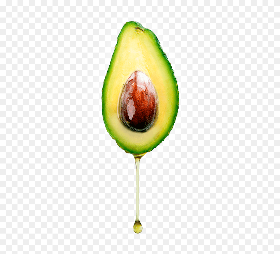 Avocado Oil Drip, Food, Fruit, Plant, Produce Free Png