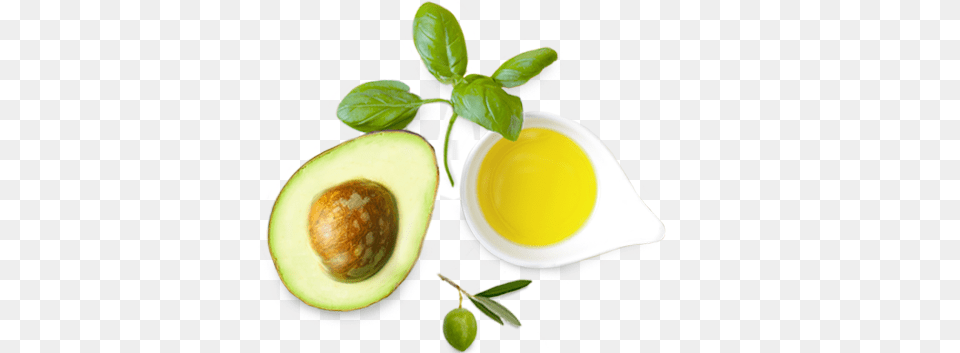 Avocado Olive Basil, Food, Fruit, Plant, Produce Free Png