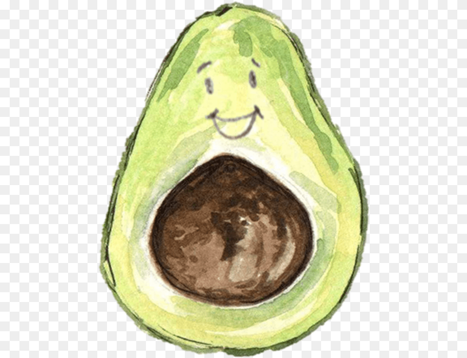 Avocado Transparent Images Free Download Clipart Avocado Watercolor, Food, Fruit, Plant, Produce Png Image