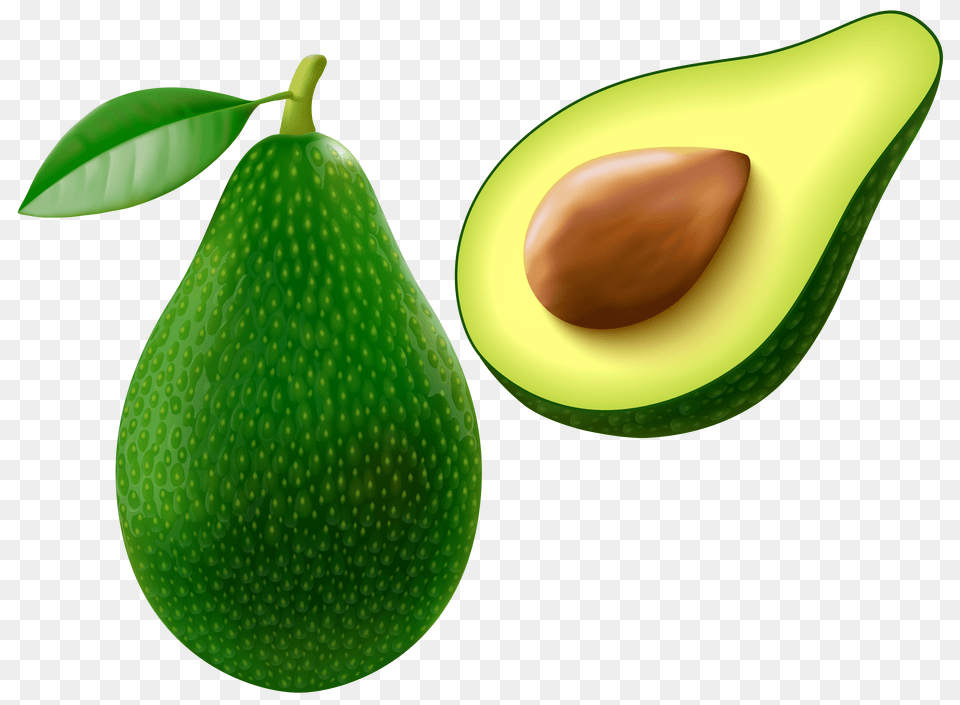 Avocado Vector Clipart Png