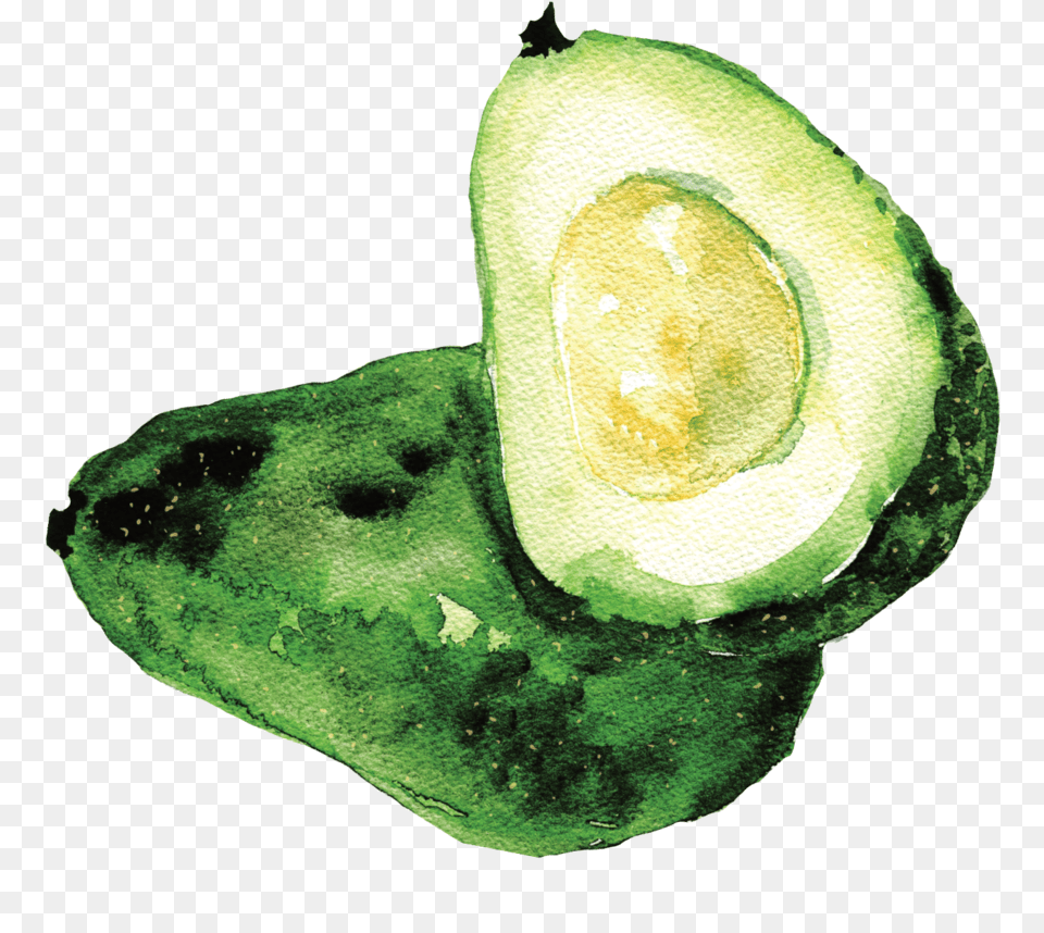 Avocado Vector Portable Network Graphics, Food, Fruit, Plant, Produce Png Image