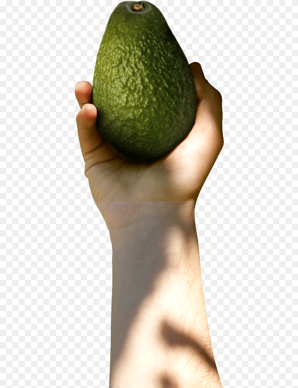 Avocado With Hand, Food, Fruit, Plant, Produce Free Png Download