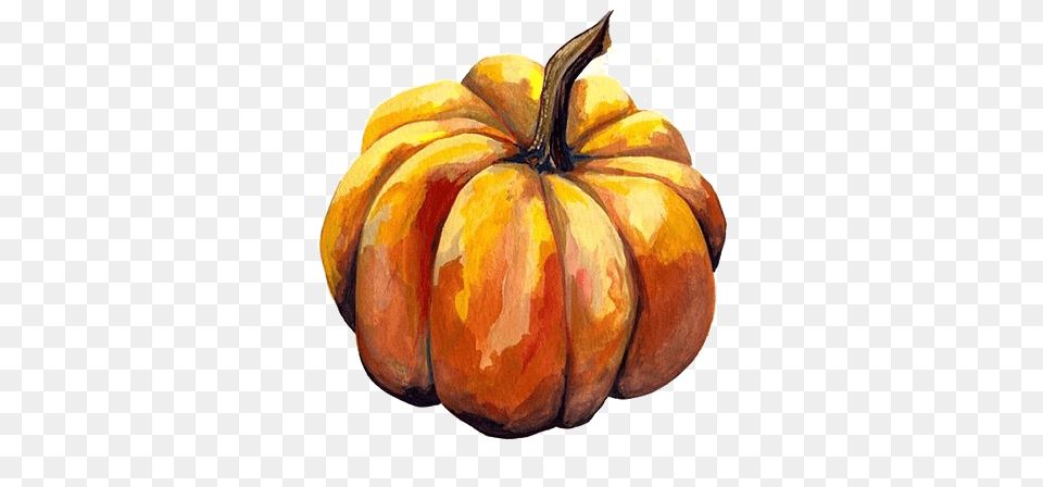 Avoid It At All Costs But At The Behest Of A Beautiful Pumpkin Drawing Watercolour, Food, Plant, Produce, Vegetable Png