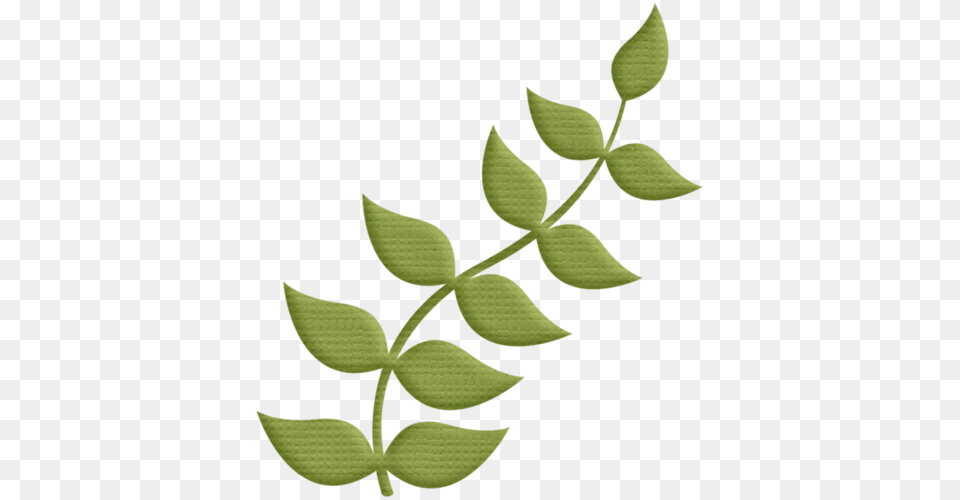 Aw Leaves Acces For Scrap, Plant, Leaf, Green, Animal Free Png Download