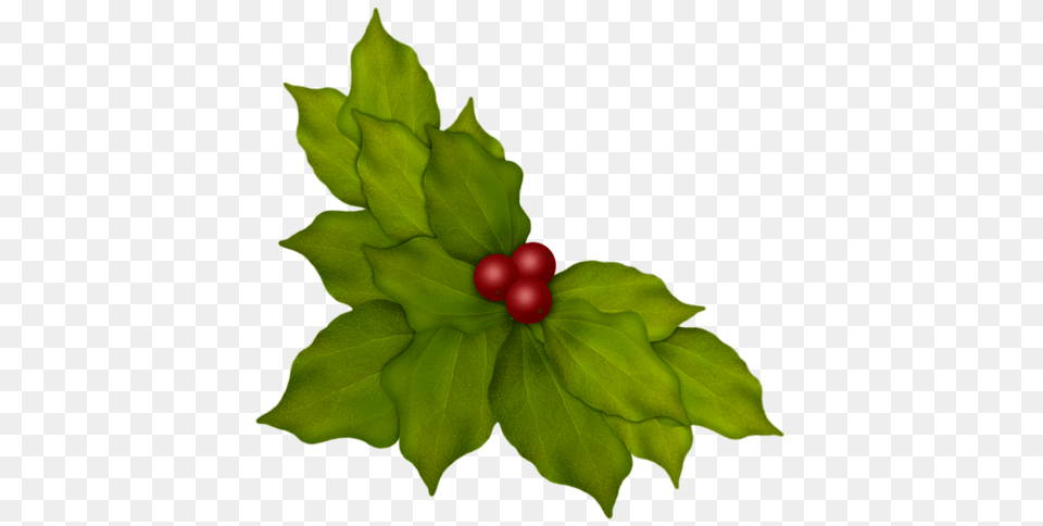 Aw Woodland Leaves And Berries Bells Holly Pinecones, Food, Fruit, Leaf, Plant Free Png Download