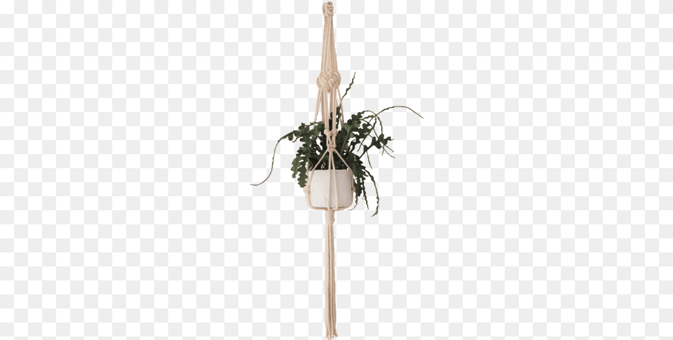 Awaji Knot Macrame Plant Hanger Pe, Jar, Planter, Potted Plant, Pottery Png