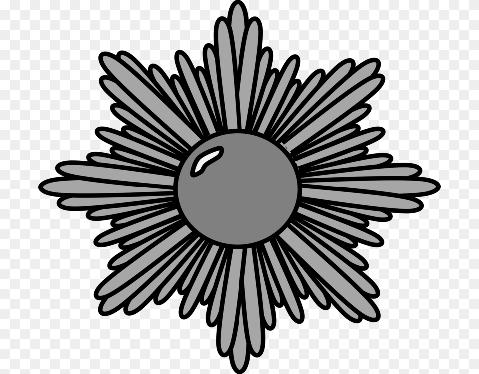 Award Drawing Computer Icons Black And White, Daisy, Flower, Plant Png