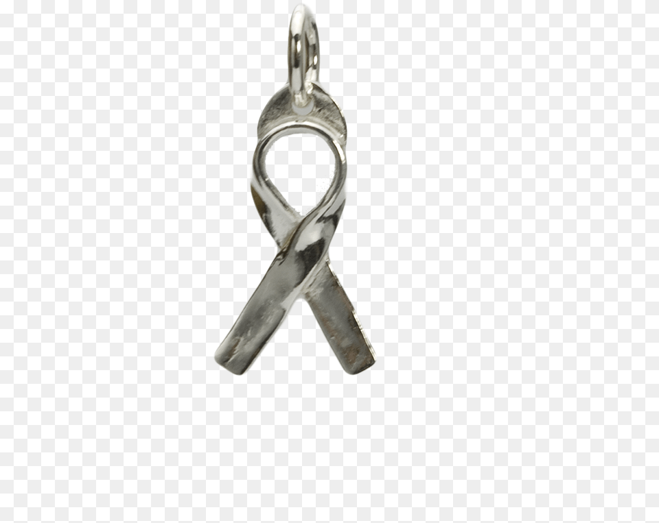 Awareness Ribbon Charm Locket, Accessories, Earring, Jewelry, Silver Png