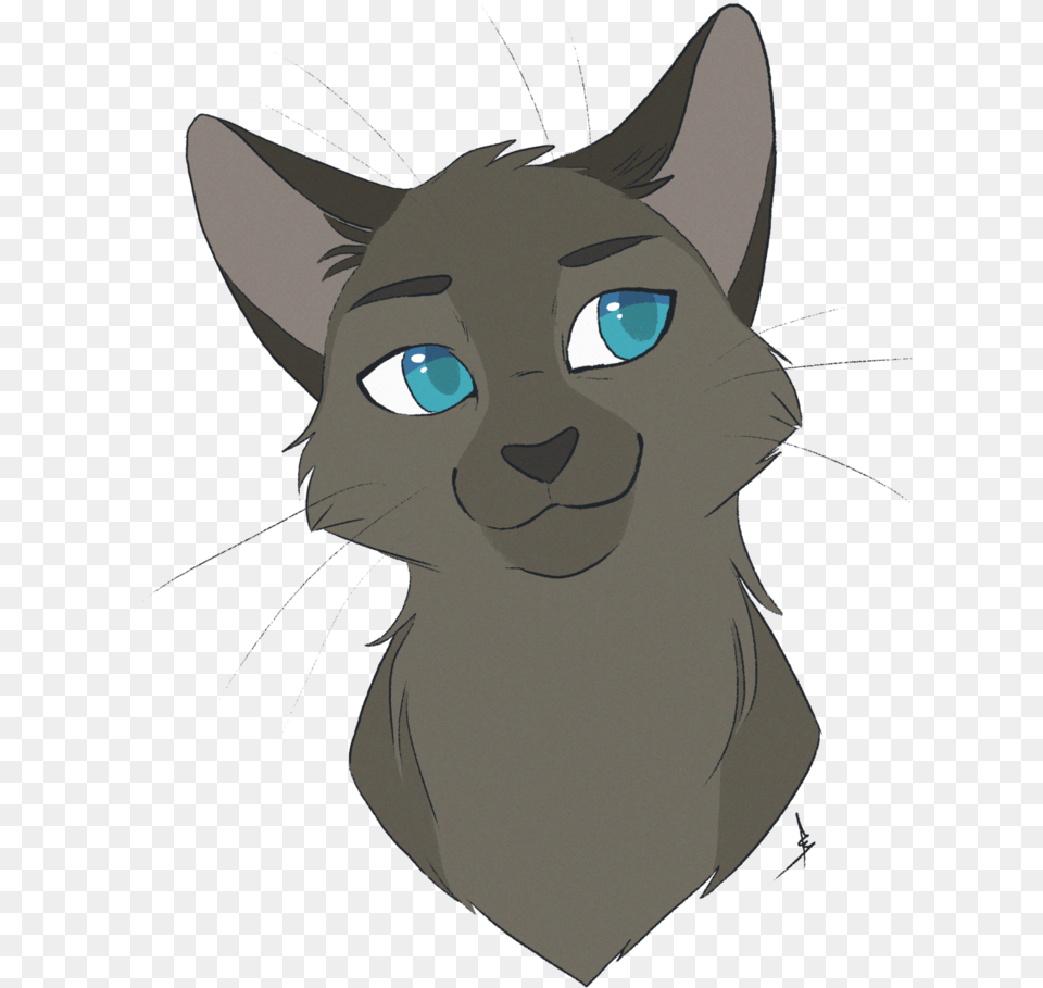 Awesome Anime Cat Drawing Outline Collection Of Anime Drawings Of Warrior Cats, Person, Animal, Mammal, Pet Free Png
