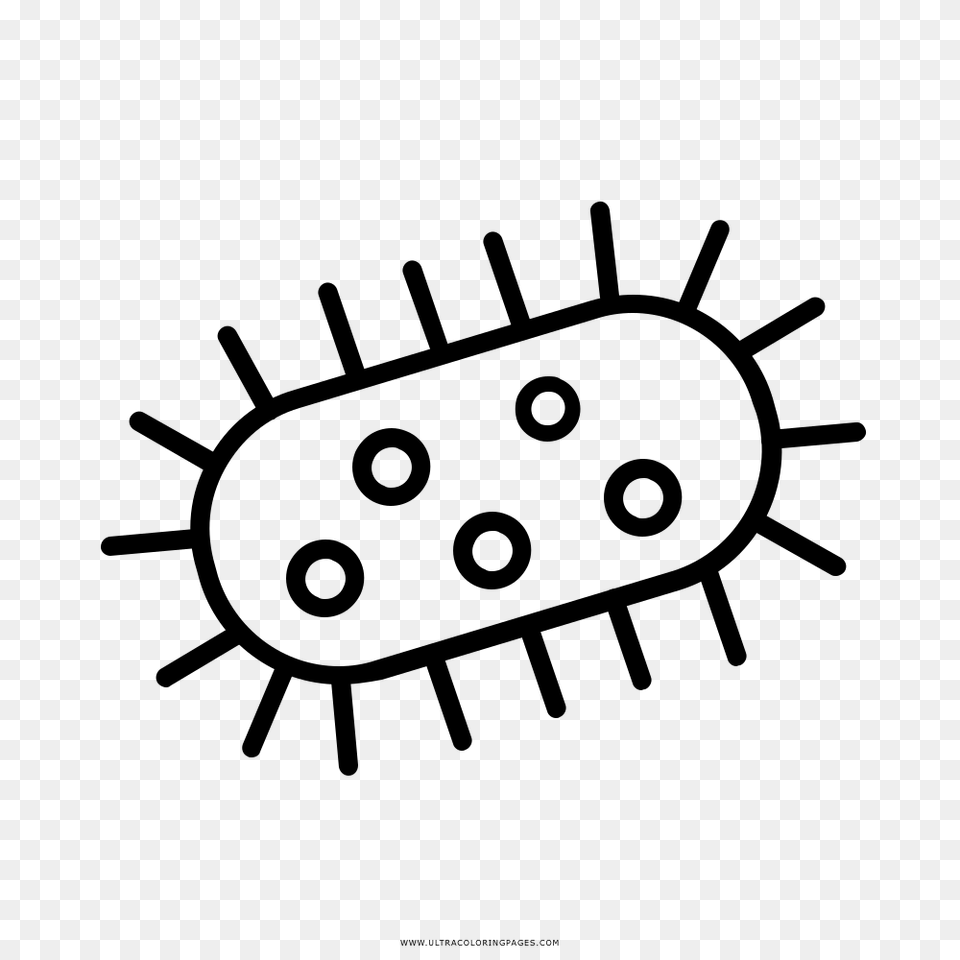 Awesome Bacteria Coloring, Gray Free Png