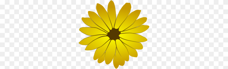 Awesome Royalty Daisy, Flower, Petal, Plant Free Png Download