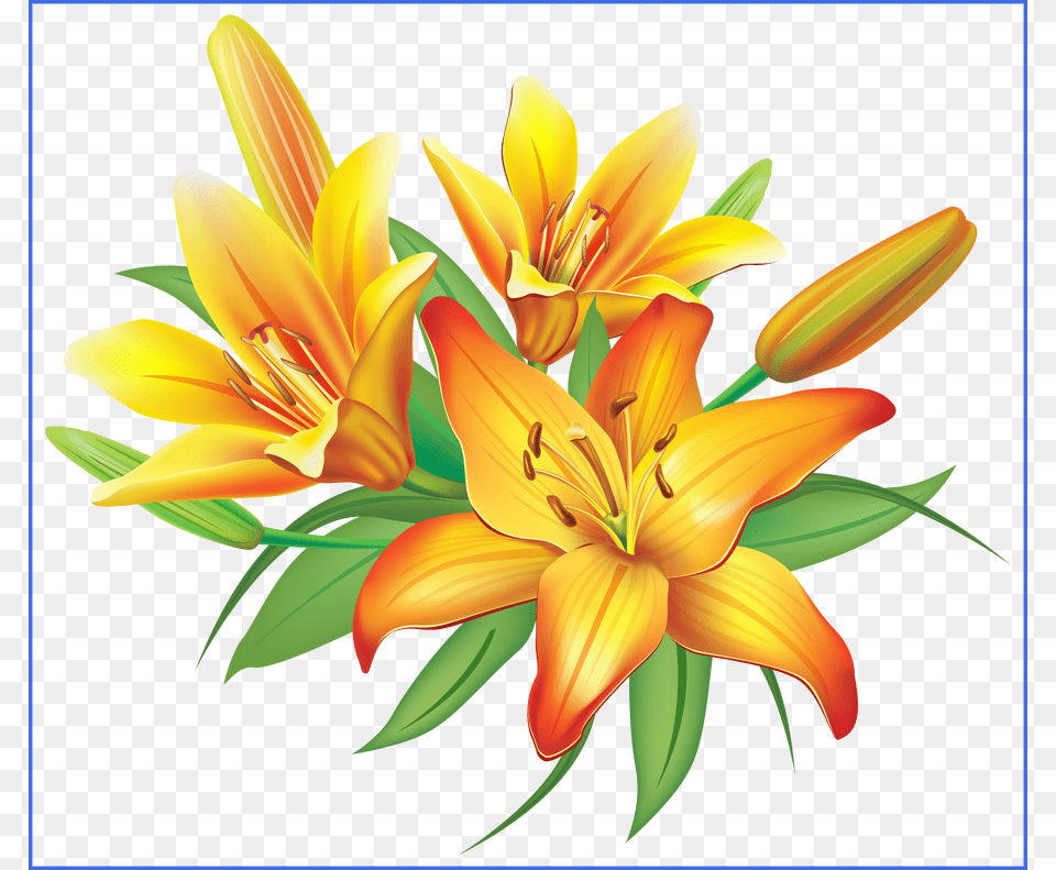 Awesome Yellow Flowers Decoration Of Lilies Clipart, Flower, Plant, Lily, Flower Arrangement Png
